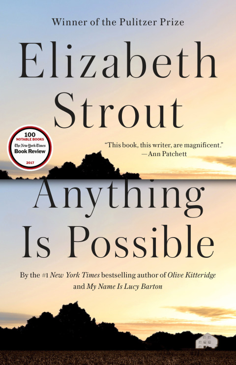 Cover image for book Anything Is Possible