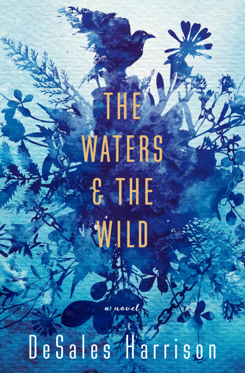Cover image for book The Waters & The Wild