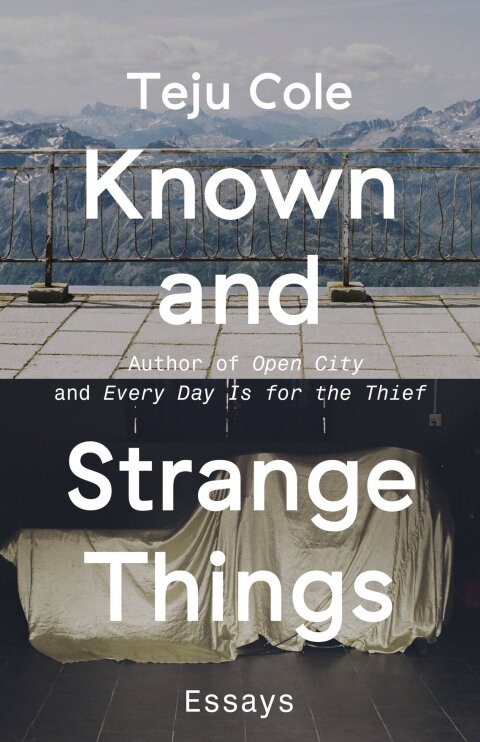 Cover image for book Known and Strange Things