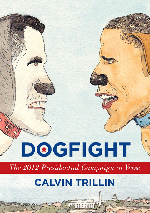 Cover image for book Dogfight