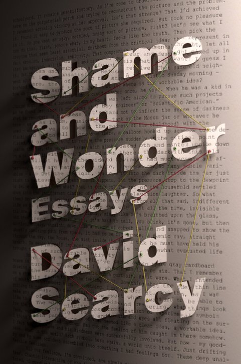 Cover image for book Shame and Wonder