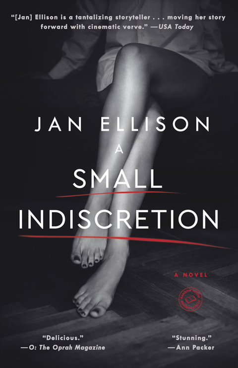 Cover image for book A Small Indiscretion