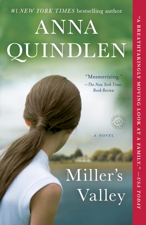 Cover image for book Miller's Valley