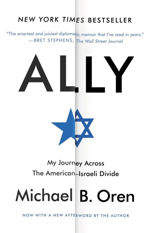 Cover image for book Ally