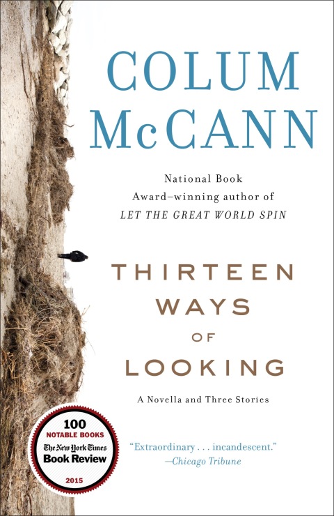 Cover image for book Thirteen Ways of Looking