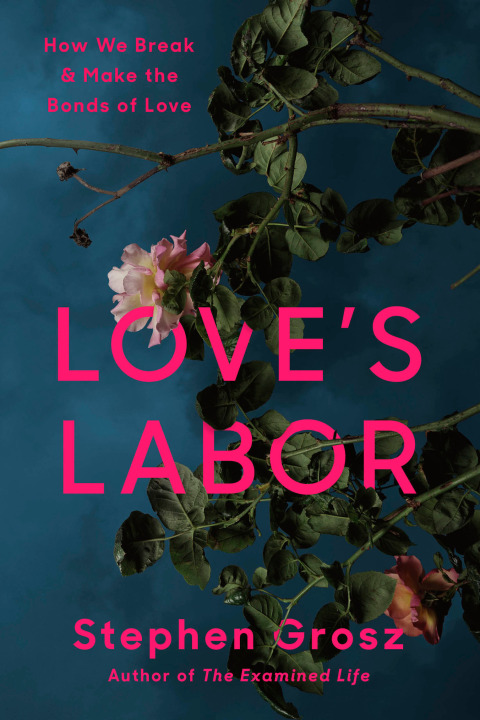 Cover image for book Love's Labor