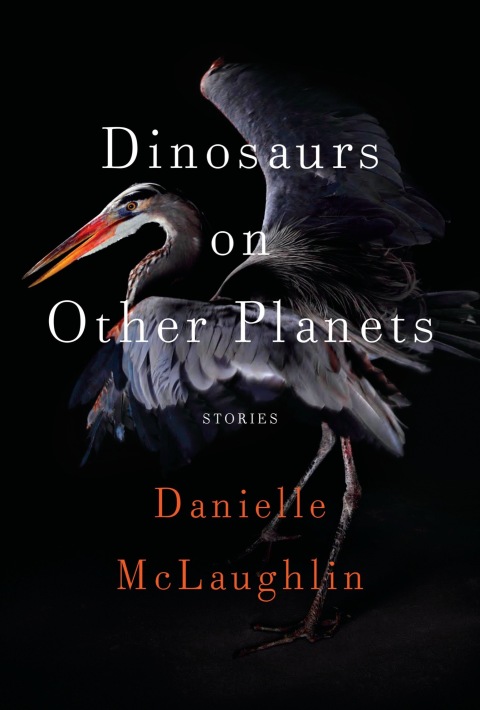 Cover image for book Dinosaurs on Other Planets