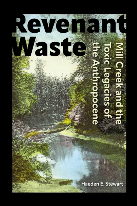 Cover image for book Revenant Waste