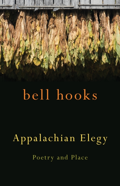 Cover image for book Appalachian Elegy