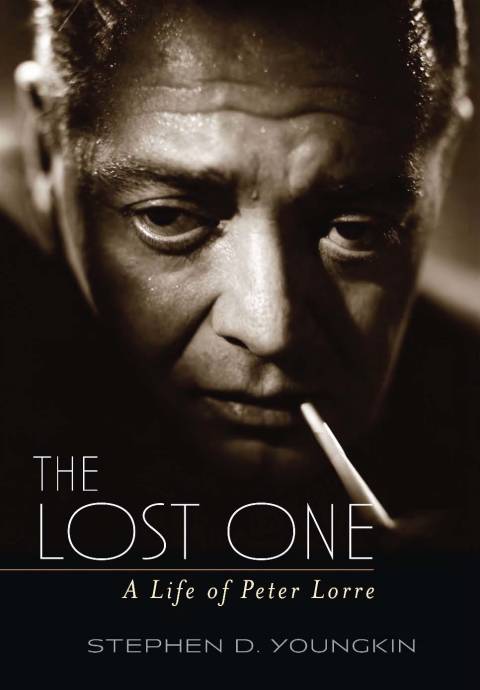 Cover image for book The Lost One