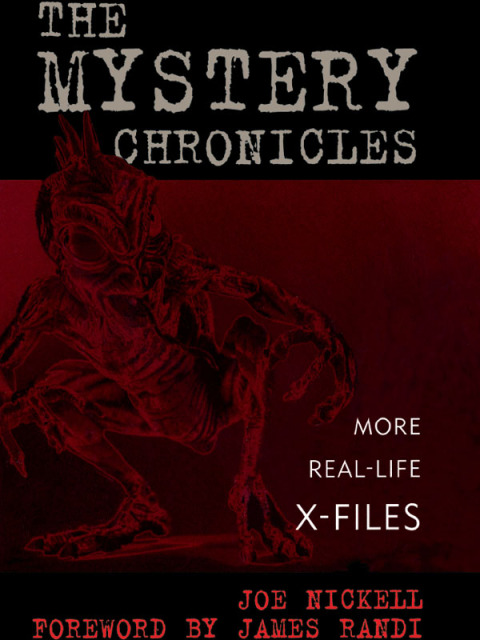 Cover image for book The Mystery Chronicles