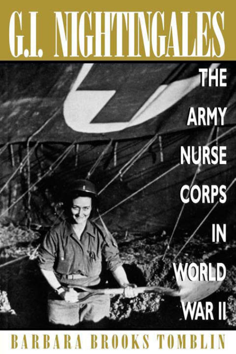 Cover image for book G.I. Nightingales