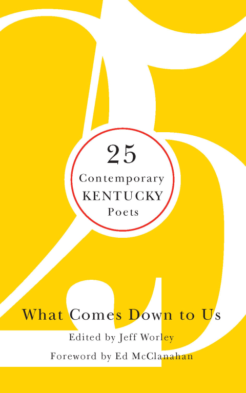 Cover image for book What Comes Down to Us