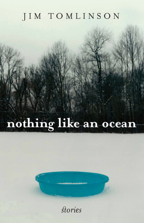 Cover image for book Nothing Like an Ocean