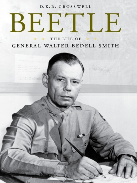 Cover image for book Beetle