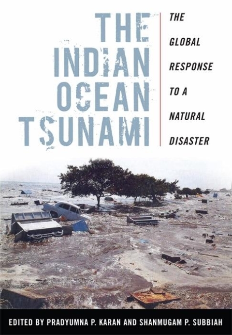 Cover image for book The Indian Ocean Tsunami
