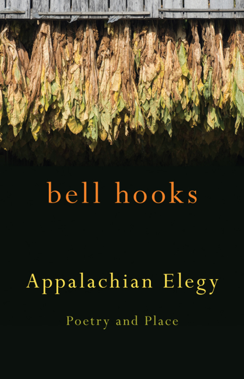 Cover image for book Appalachian Elegy