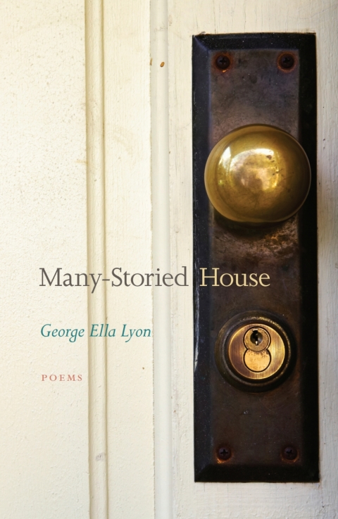 Cover image for book Many-Storied House