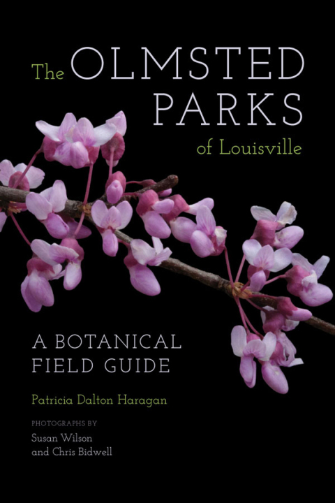Cover image for book The Olmsted Parks of Louisville