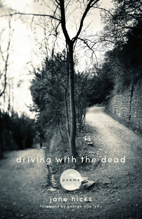 Cover image for book Driving with the Dead