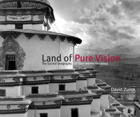 Cover image for book Land of Pure Vision