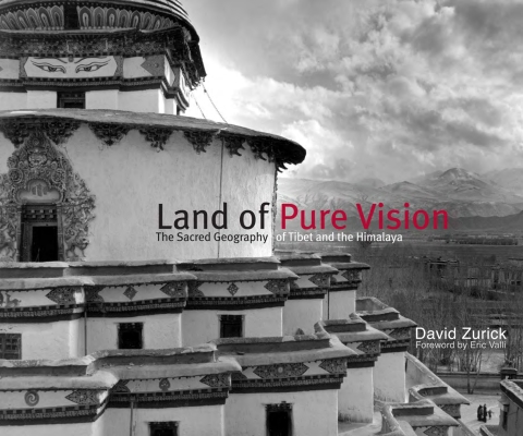 Cover image for book Land of Pure Vision