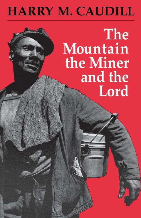 Cover image for book The Mountain, the Miner, and the Lord and Other Tales from a Country Law Office