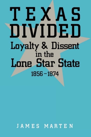 Texas Divided