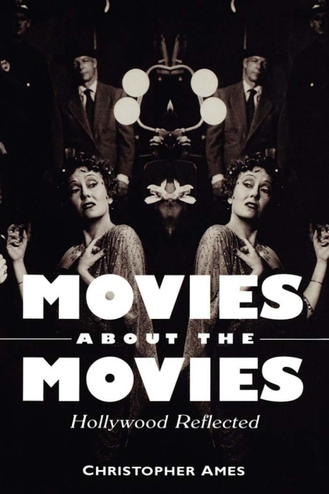 Cover image for book Movies About the Movies