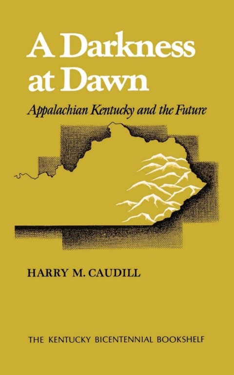Cover image for book A Darkness at Dawn