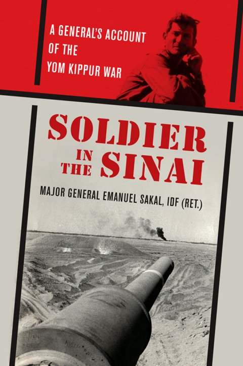 Cover image for book Soldier in the Sinai