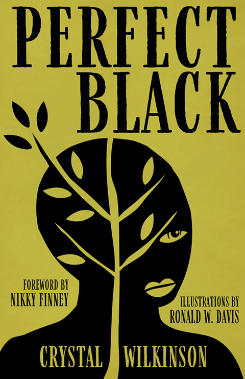 Cover image for book Perfect Black