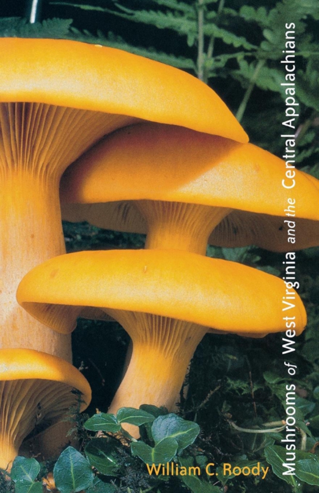 Mushrooms of West Virginia and the Central Appalachians (eBook) - William C. Roody