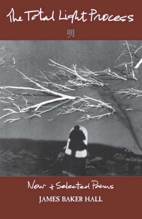 The Total Light Process 