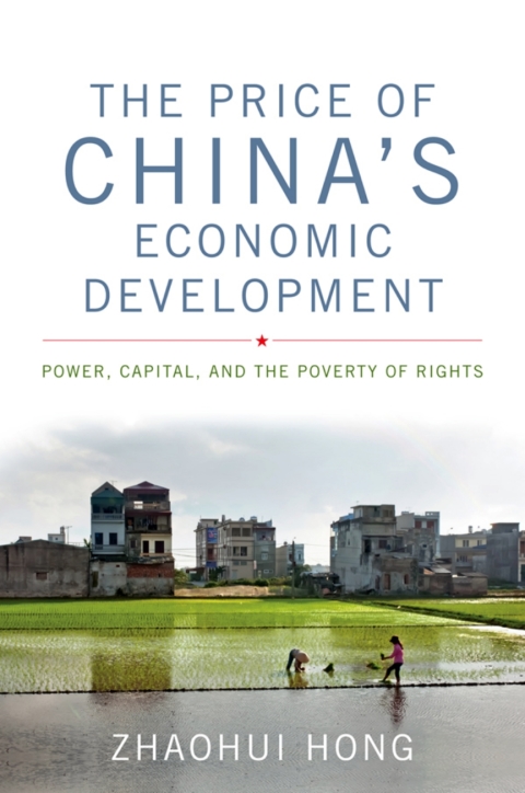 Cover image for book The Price of China's Economic Development