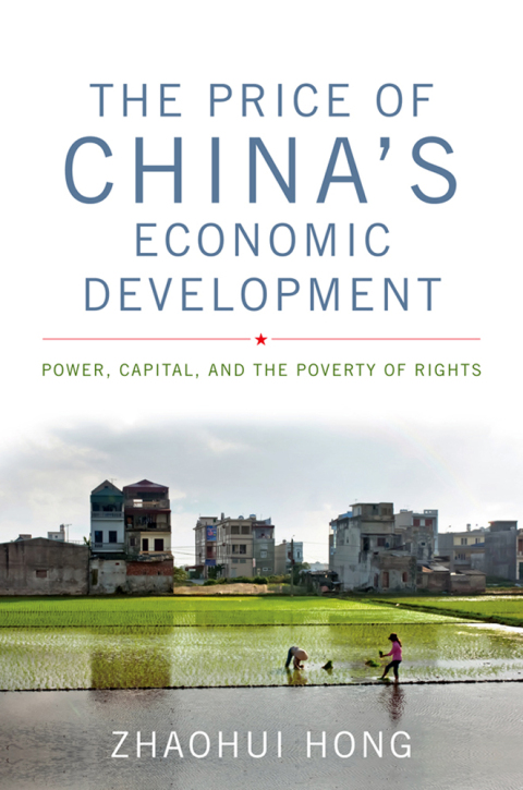 Cover image for book The Price of China's Economic Development