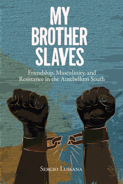 Cover image for book My Brother Slaves