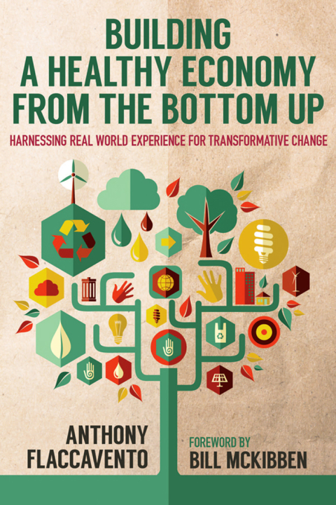 Cover image for book Building a Healthy Economy from the Bottom Up