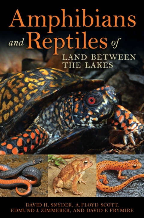 Amphibians and Reptiles of Land Between the Lakes 