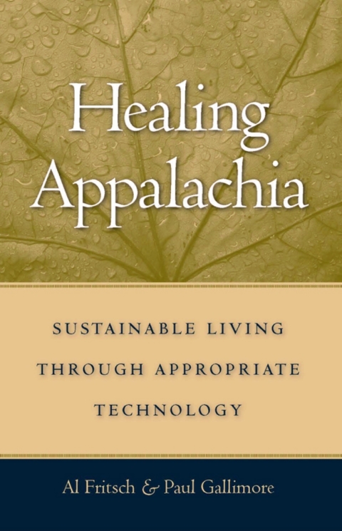 Cover image for book Healing Appalachia