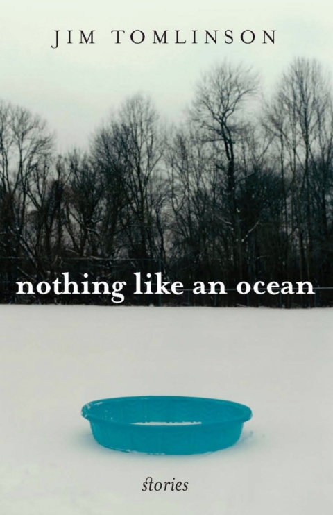 Cover image for book Nothing Like an Ocean