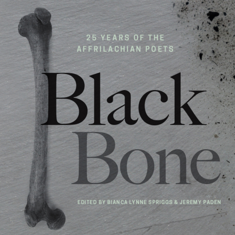 Cover image for book Black Bone