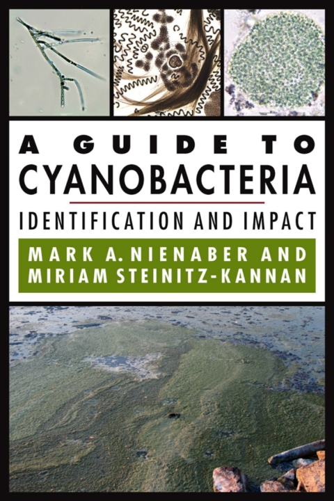 Cover image for book A Guide to Cyanobacteria