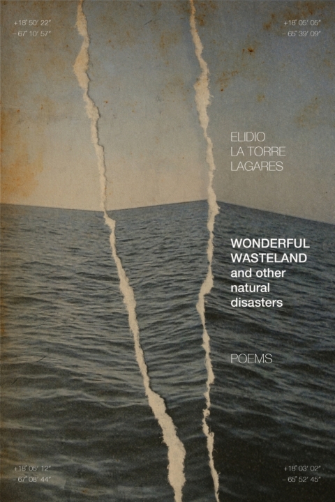 Cover image for book Wonderful Wasteland and other natural disasters
