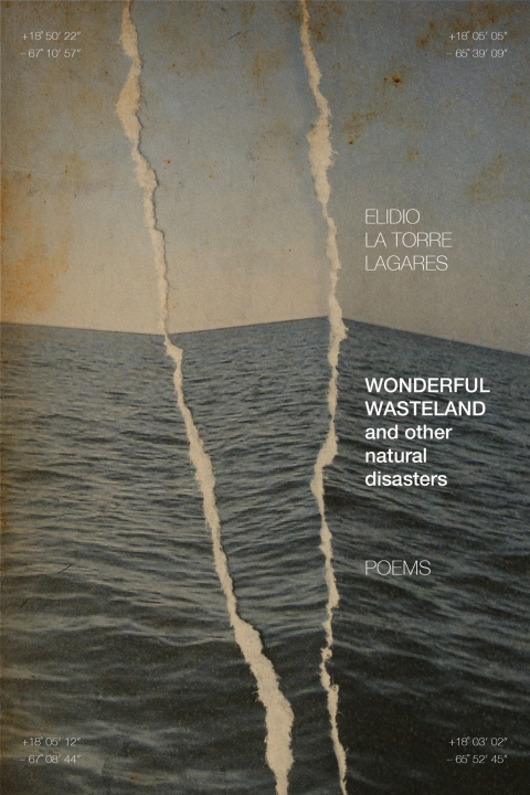 Cover image for book Wonderful Wasteland and other natural disasters