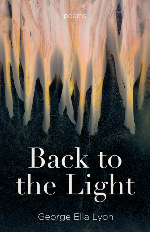 Cover image for book Back to the Light
