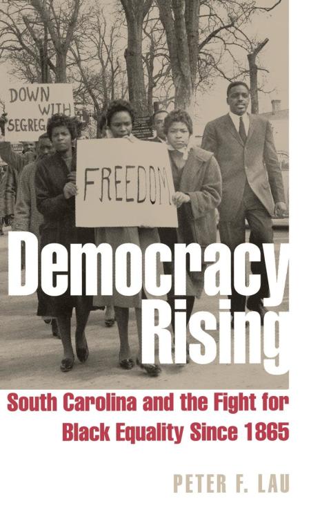 Cover image for book Democracy Rising