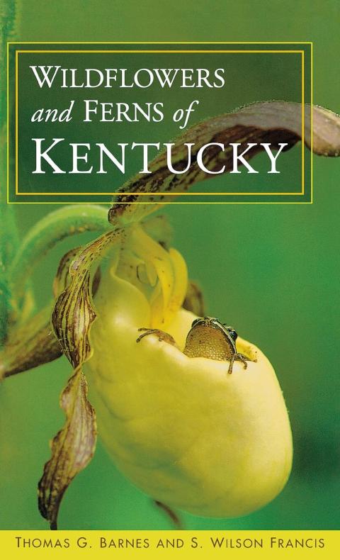 Cover image for book Wildflowers and Ferns of Kentucky