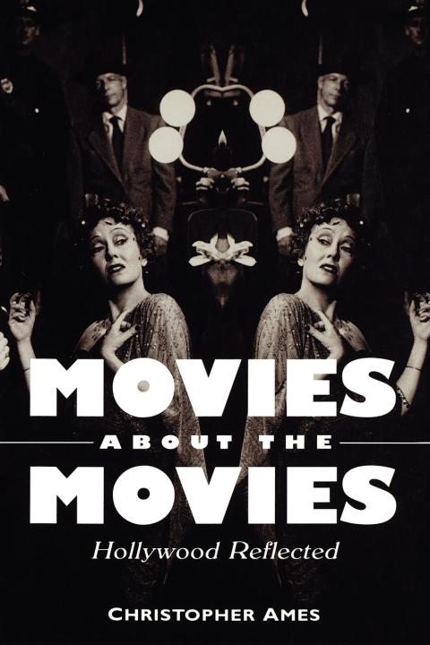 Cover image for book Movies About the Movies