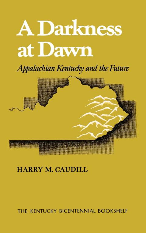 Cover image for book A Darkness at Dawn